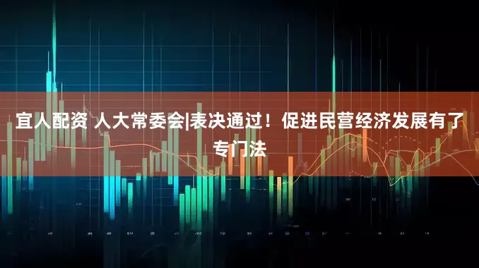 宜人配资 人大常委会|表决通过！促进民营经济发展有了专门法