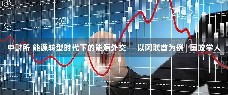 中财所 能源转型时代下的能源外交——以阿联酋为例 | 国政学人