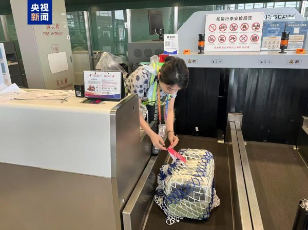 金岭速配 东航“宠物进客舱”服务拓展至17条航线